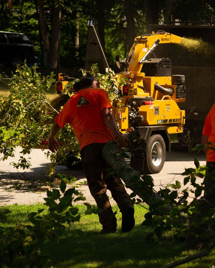 A crew member in orange dragging a leafy limb toward the chipper, the chute throwing chips behind him.
