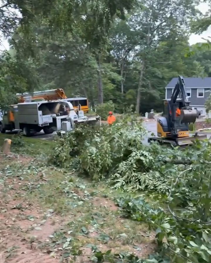 A partly cleared lot: brush piled on the dirt, the chipper truck and a mini excavator working beside a house.